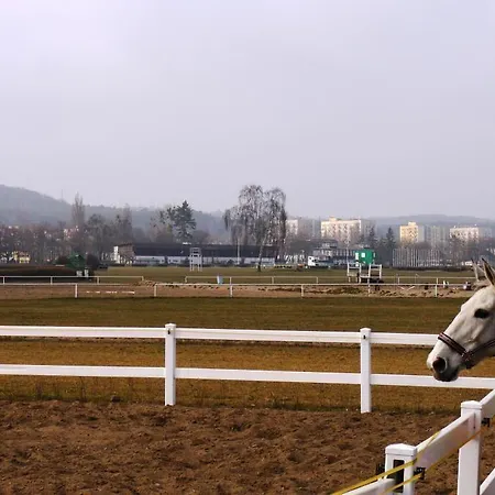 Апартаменти Lion - Parkur 2 *