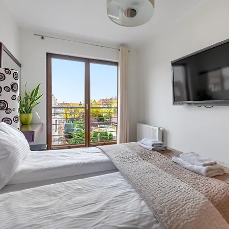 Lion - Parkur 2 * Sopot