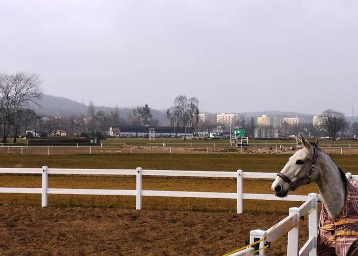 Apartament Lion - Parkur 2 *